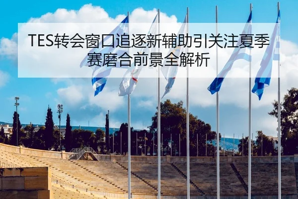TES转会窗口追逐新辅助引关注夏季赛磨合前景全解析